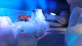 人気の施設です