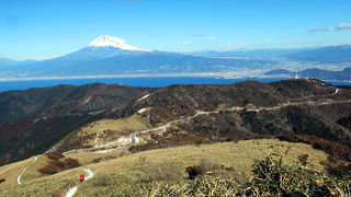 富士山、駿河湾、笹原の稜線が美しい
