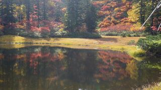 ９月から美しい紅葉が楽しめます