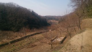 行く度に充実しています