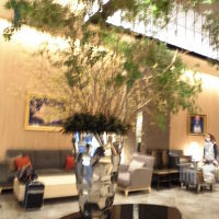 ロビーの木が迫力でした 