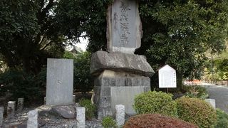 立ち止まる人も少ない