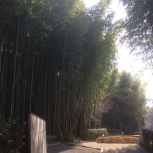 野外彫刻庭園のあたり