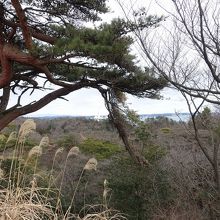 海はわずかしか見えない。