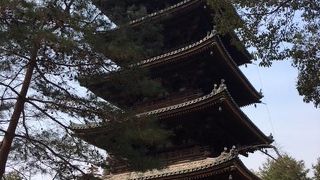 御殿庭園のバックに見える姿が素敵