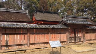 仁和寺の守り神