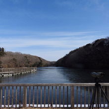 水郷県民の森の大膳池の風景