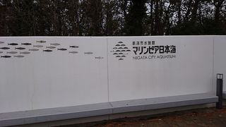 「新潟市水族館マリンピア日本海」に行きました！ 2018