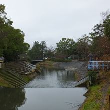 冬でも緑です。
