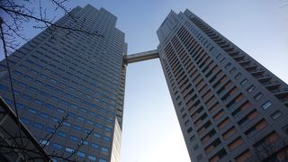 正式な呼び方は「せいるか」です