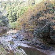 清滝川沿いに進むと北山杉の凛とした美しい林に出合う