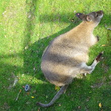 気持ちよさそう♪
