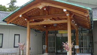 海の生物の標本に ビックリします