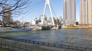 橋の楽しみ方もいろいろ