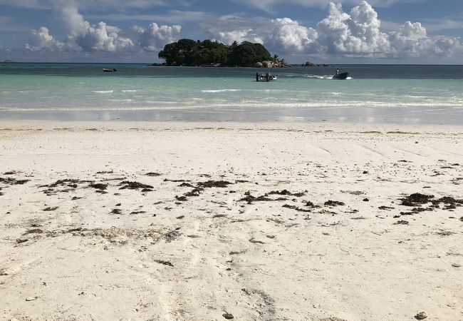 グラン・アンス