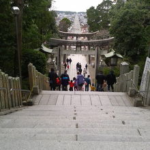 「光の道」となる参道