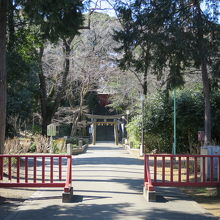 参道と石鳥居