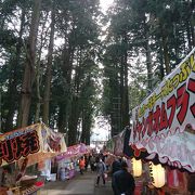 田村神社厄除大祭(田村まつり)