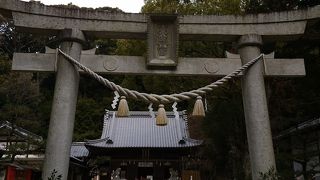 昔、ここに松平家の館があった