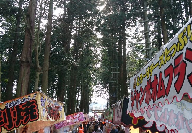 田村神社厄除大祭(田村まつり)