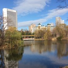 中心部の池 からの11月の秋風の残る眺望