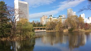 広い！ 市内の オアシス的 公園です。