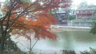 広々としていい眺めの池です