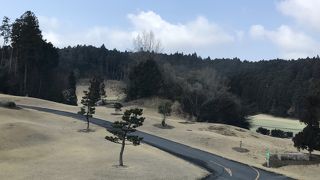 広々とした綺麗なコース