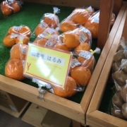 お土産品から果物、花まで