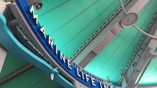 ラッコと抱っこ