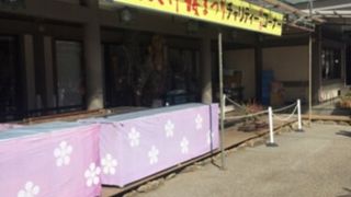 毎年恒例の梅祭り