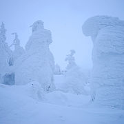 より大きな樹氷を見るなら山形蔵王！夕方のライトアップは見どころ！