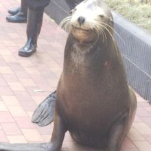 最後に目の前に来ました