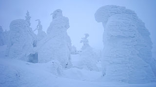 より大きな樹氷を見るなら山形蔵王！夕方のライトアップは見どころ！