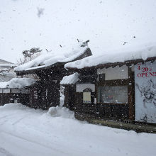 吹雪の中を強行突破し、到着しました 