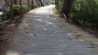 平等院側の土手道