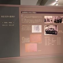 南吉氏の生い立ちから亡くなるまでの苦悩も興味深くて見入ります