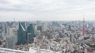 六本木ヒルズのヘリポートから東京の街並みを一望できました！