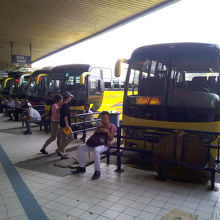 ちなみにマヤ港行きのバスは、ターミナル向かって右手