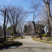 自然豊かな美しい公園