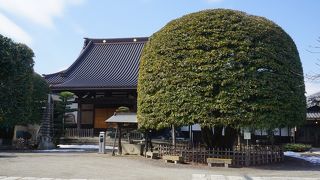 寺の立派なシンボル