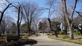 自然豊かな美しい公園