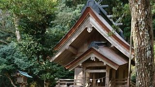 出雲大社御本殿の北側に