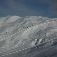 フォーゲルスキー場までスキーバスで10分