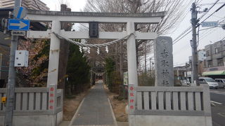 ひな人形が展示されていた