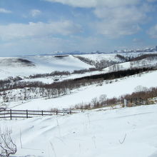 冬の牧草地と山