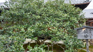 日本の歴史の著名人がかかわった寺院