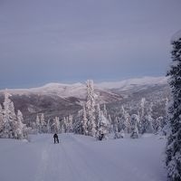 山頂付近。木々の雪も凍っています