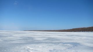 龍の髭の上を進む