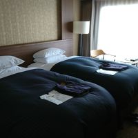 【スパフロア】モデレートツイン（禁煙）28平米　　狭い！